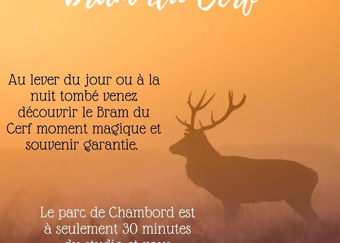 Studio En Centre Ville
