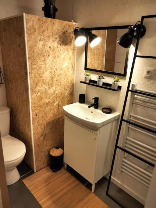 Apartment En Centre *